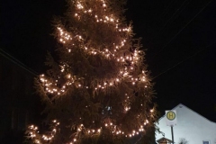 Weihnachtsbaum 2020 Unterhain