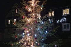 Weihnachtsbaum 2020 Barigau