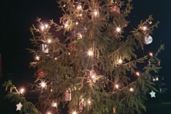 Weihnachtsbaum 2020 Oberhain